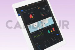 Sentinel Global Crypto Transaction Surveillance
